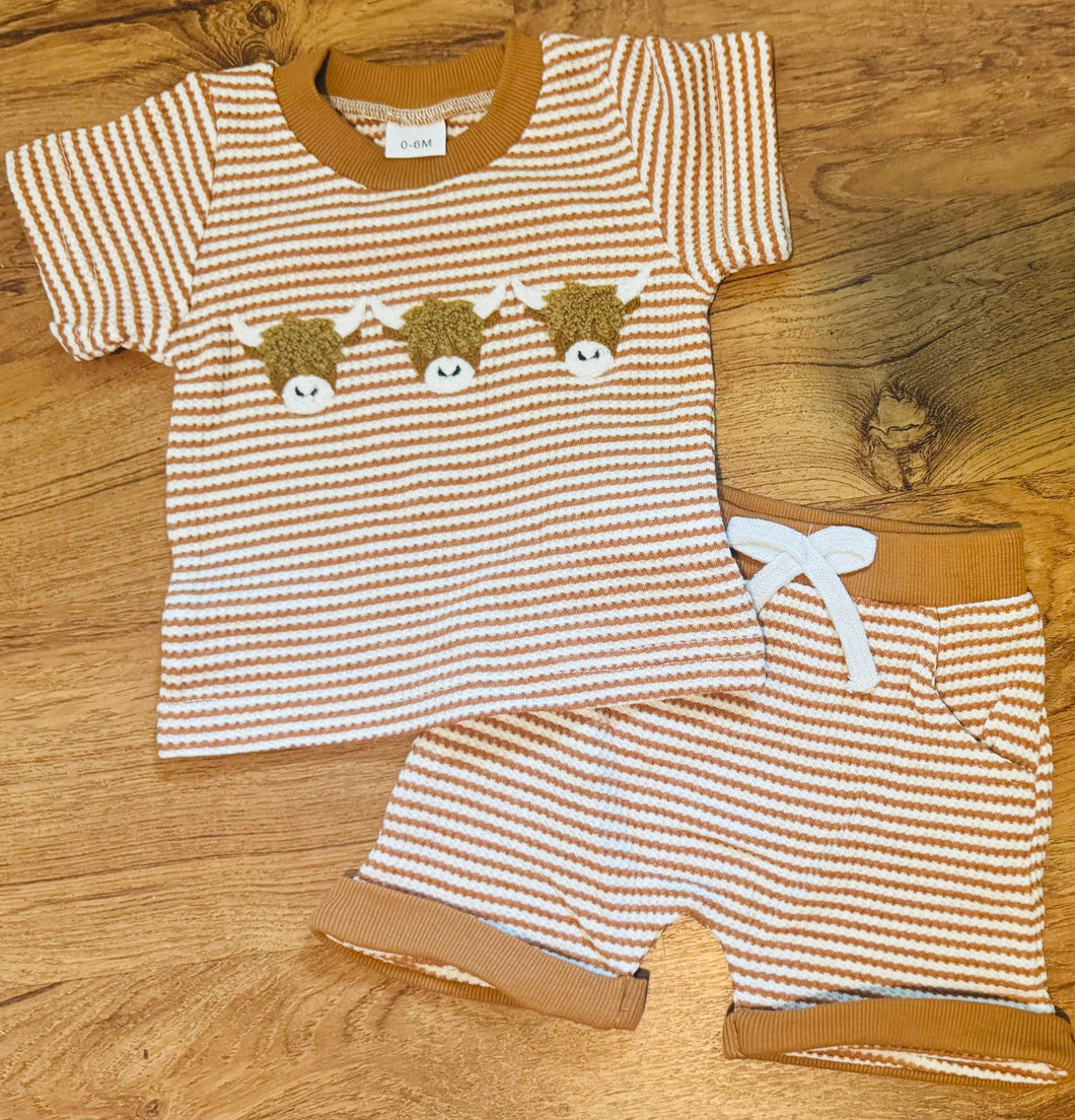 Highland Cow Set